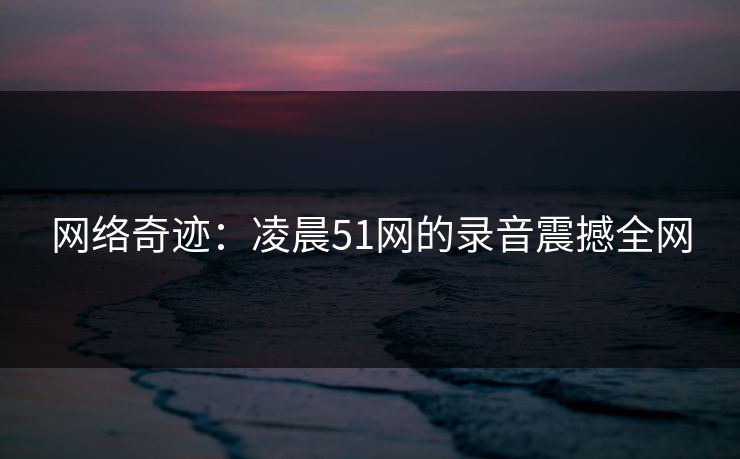 网络奇迹：凌晨51网的录音震撼全网