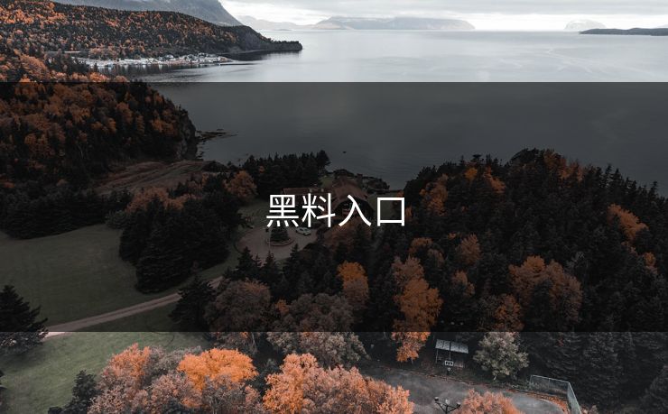 黑料入口