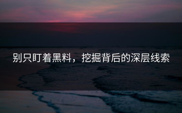 别只盯着黑料,挖掘背后的深层线索 别只盯着黑料,挖掘背后的深层线索