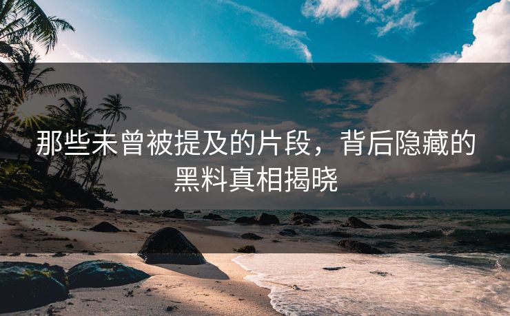 那些未曾被提及的片段,背后隐藏的黑料真相揭晓 那些未曾被提及的片段,背后隐藏的黑料真相揭晓