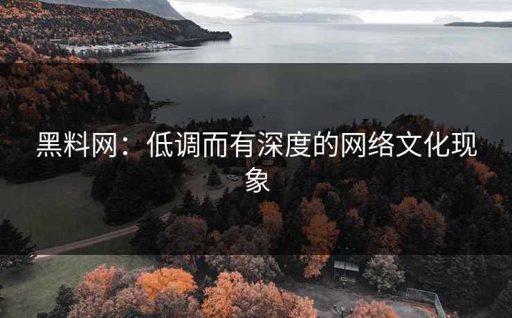 黑料网：低调而有深度的网络文化现象