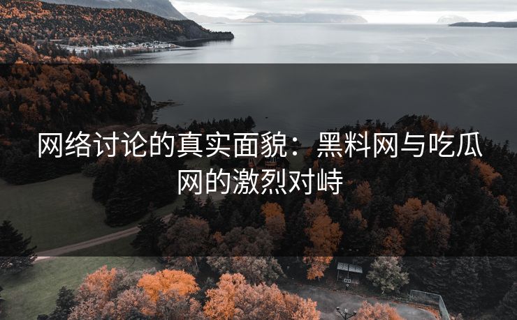网络讨论的真实面貌：黑料网与吃瓜网的激烈对峙